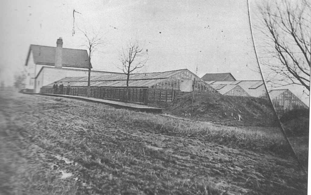 Krause farm 1895